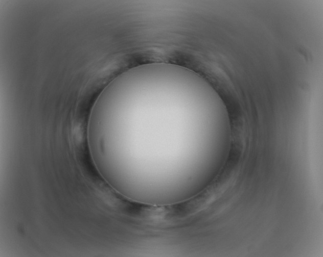 X0000113890131200910081816