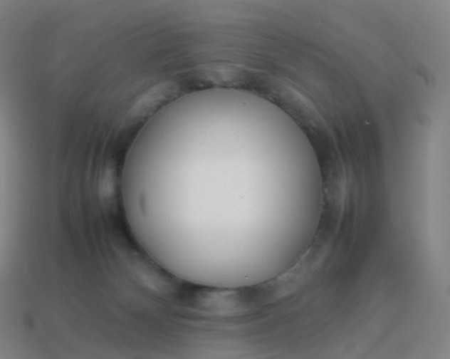 X0000113890132200910081816