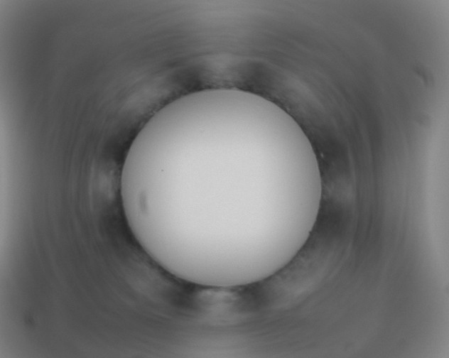 X0000113890133200910081816