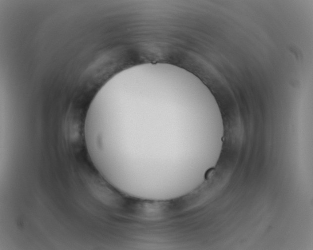 X0000113890134200910081816