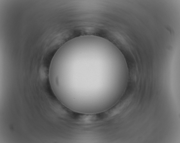 X0000113890135200910081816