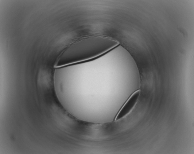 X0000113890136200910081816