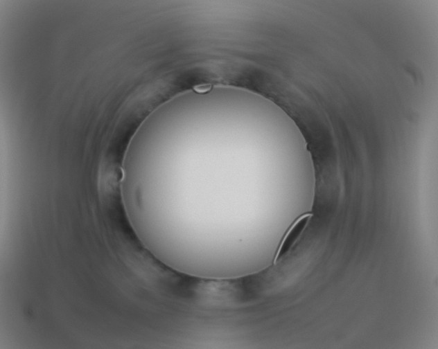 X0000113890137200910081816