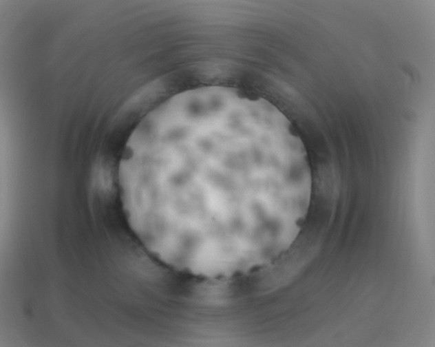 X0000113890138200910081816