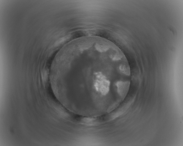 X0000113890139200910081816