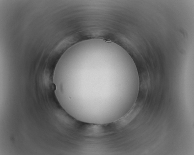 X0000113890140200910081816