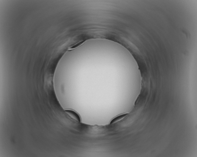 X0000113890141200910081816