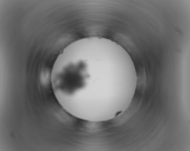 X0000113890142200910081816