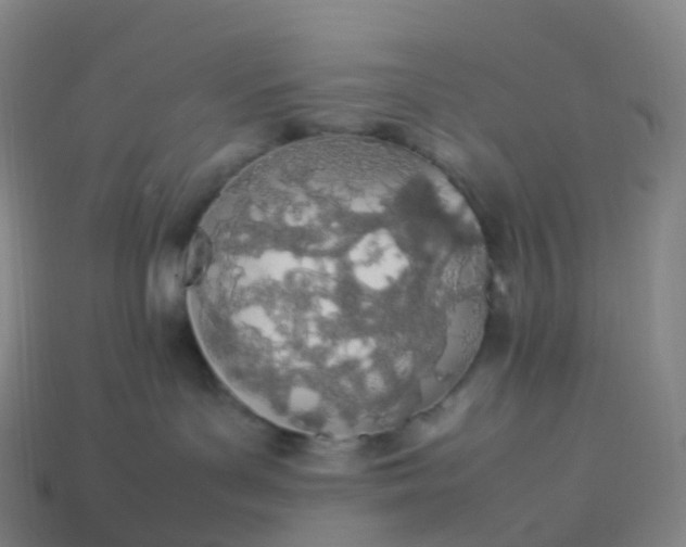 X0000113890143200910081816