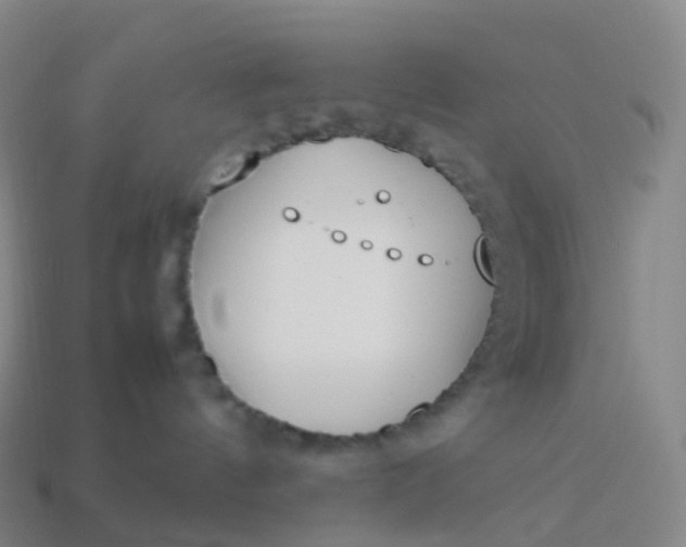 X0000113890144200910081816