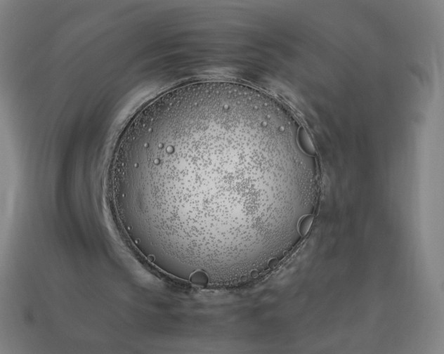 X0000113890145200910081815