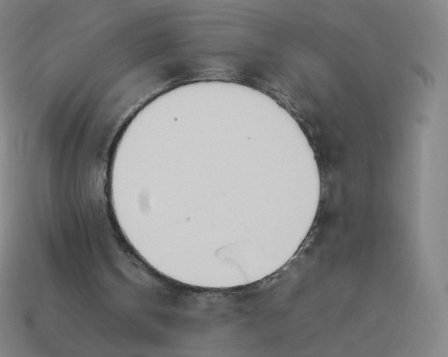 X0000113890146200910081815