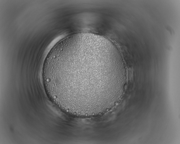 X0000113890147200910081815