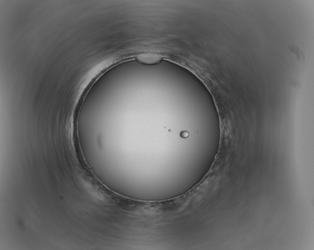 X0000113890148200910081815