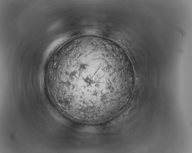 X0000113890149200910081815