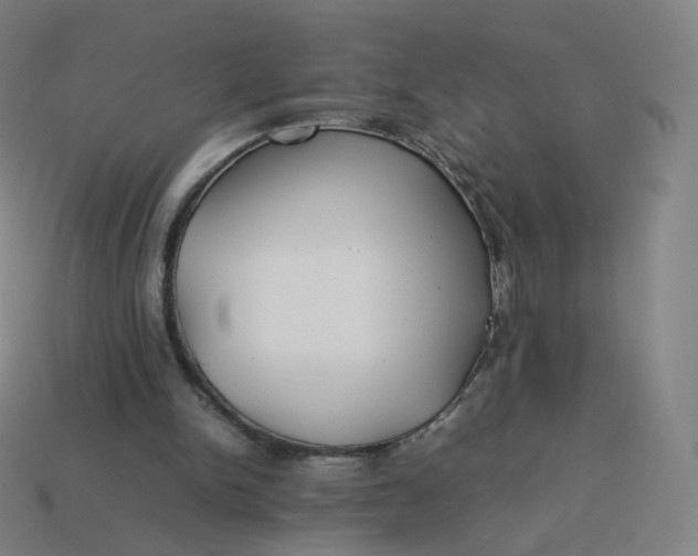 X0000113890150200910081815