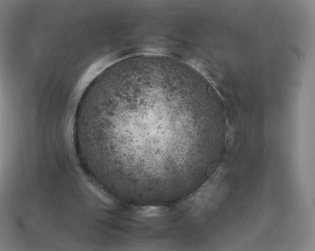 X0000113890151200910081815