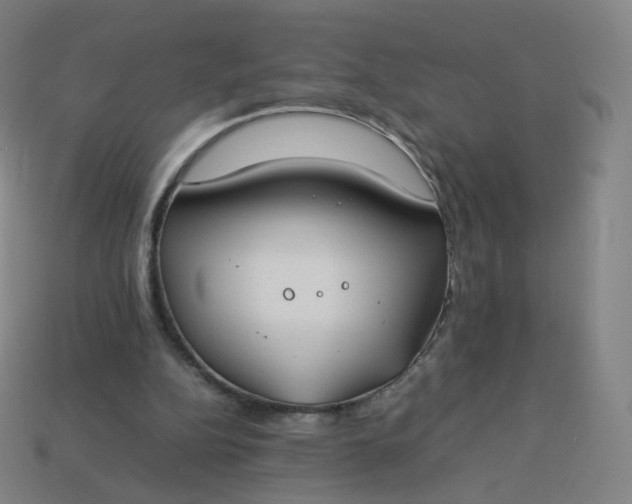 X0000113890152200910081815