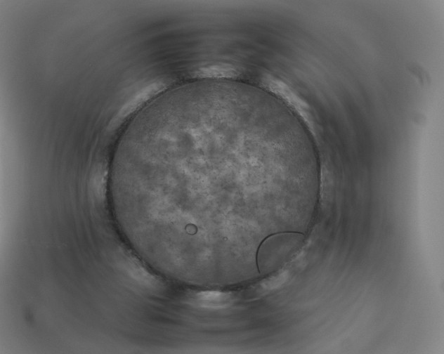 X0000113890153200910081815