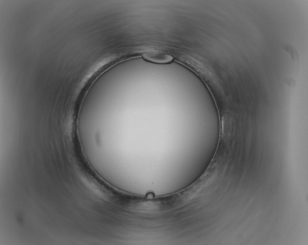 X0000113890156200910081815