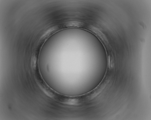 X0000113890157200910081815