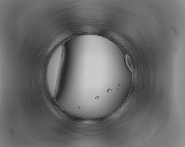 X0000113890158200910081815