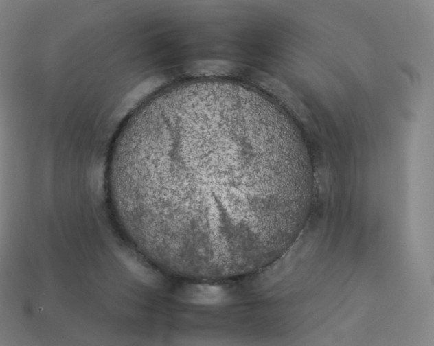 X0000113890159200910081815