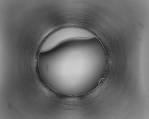 X0000113890160200910081815