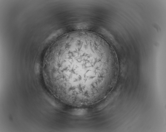 X0000113890161200910081815