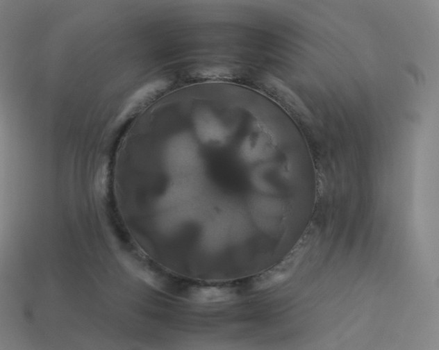 X0000113890163200910081815