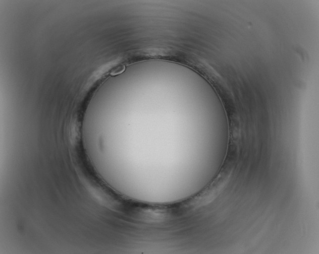 X0000113890164200910081815