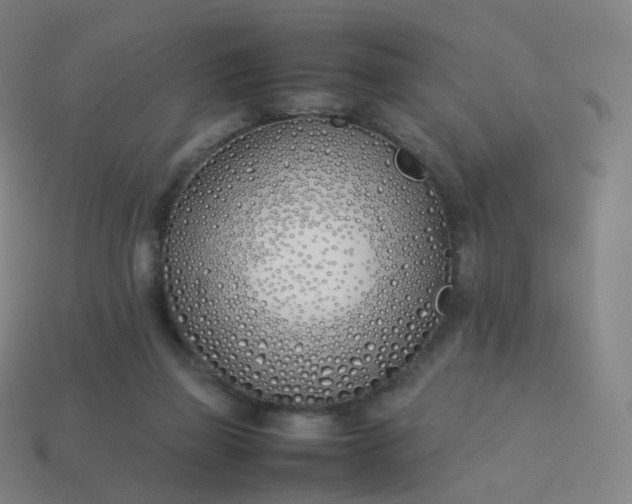 X0000113890165200910081815