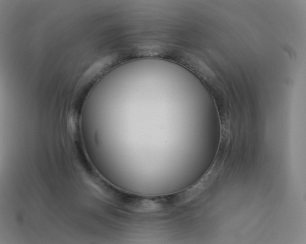 X0000113890166200910081815