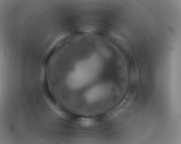 X0000113890167200910081815