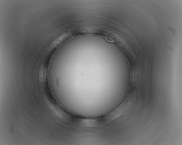 X0000113890168200910081815