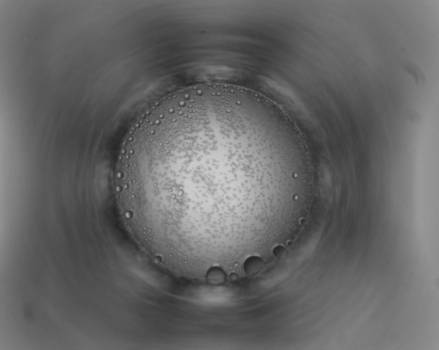 X0000113890169200910081815