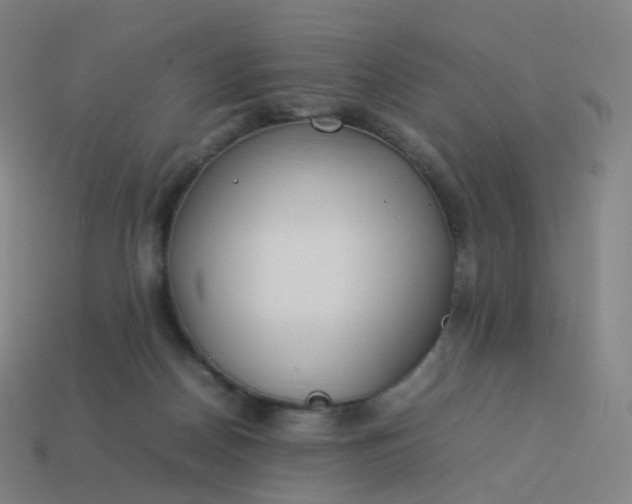 X0000113890170200910081815