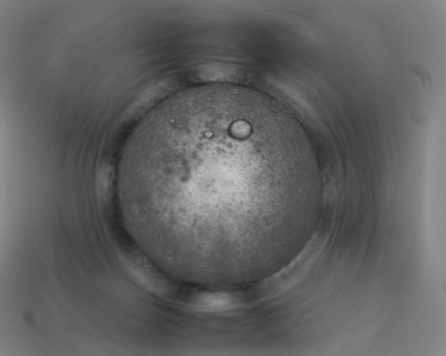 X0000113890171200910081815