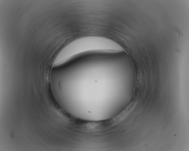 X0000113890172200910081815