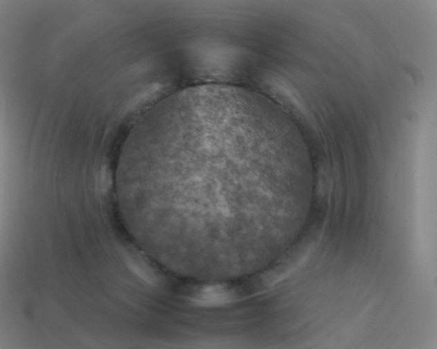 X0000113890173200910081815