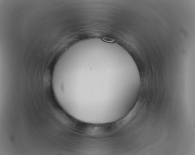 X0000113890174200910081815