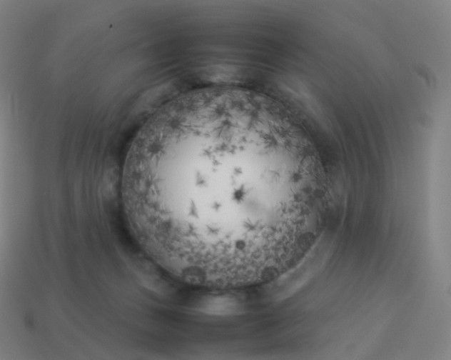 X0000113890175200910081815