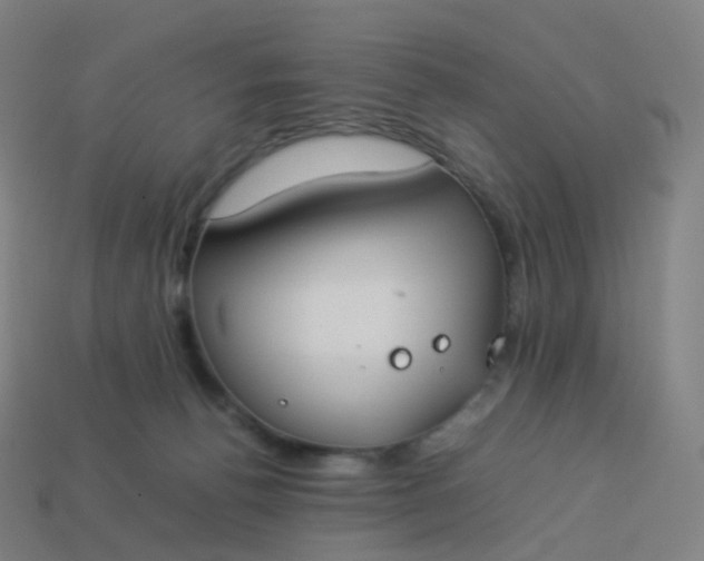 X0000113890176200910081815