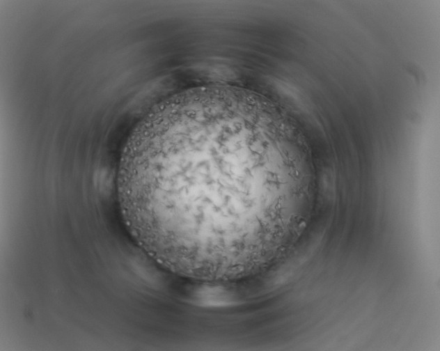 X0000113890177200910081816