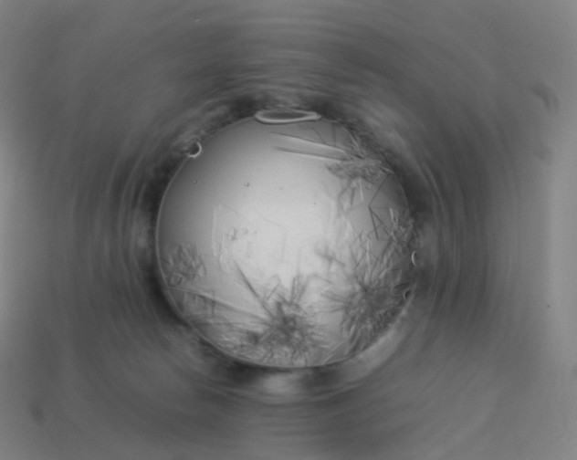 X0000113890178200910081816