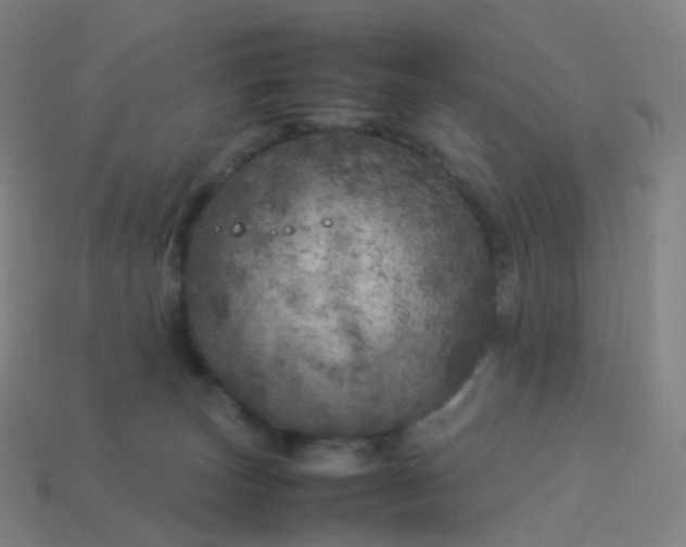 X0000113890179200910081816