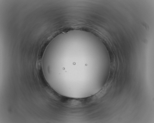 X0000113890180200910081816