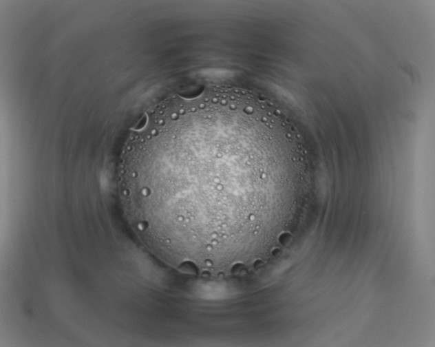 X0000113890181200910081816