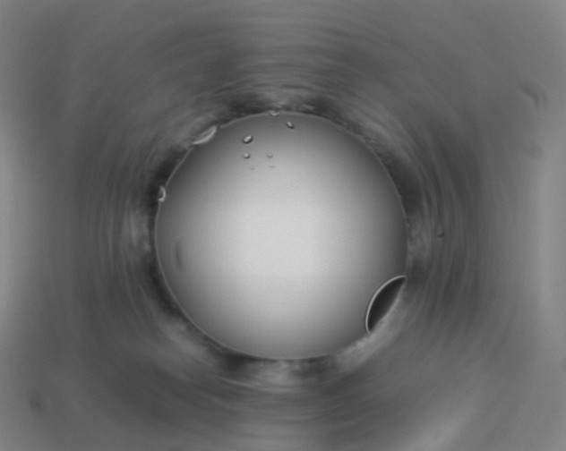 X0000113890182200910081816