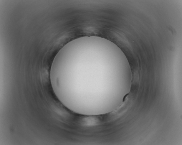 X0000113890183200910081816